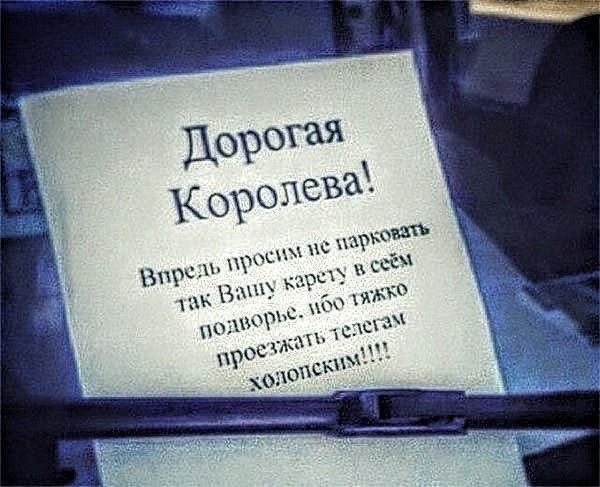 20815204.jpg