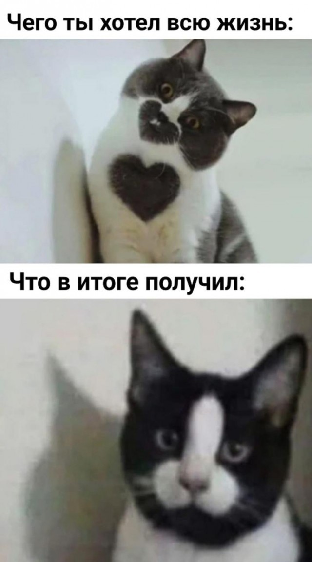 Мужское и женское восприятие