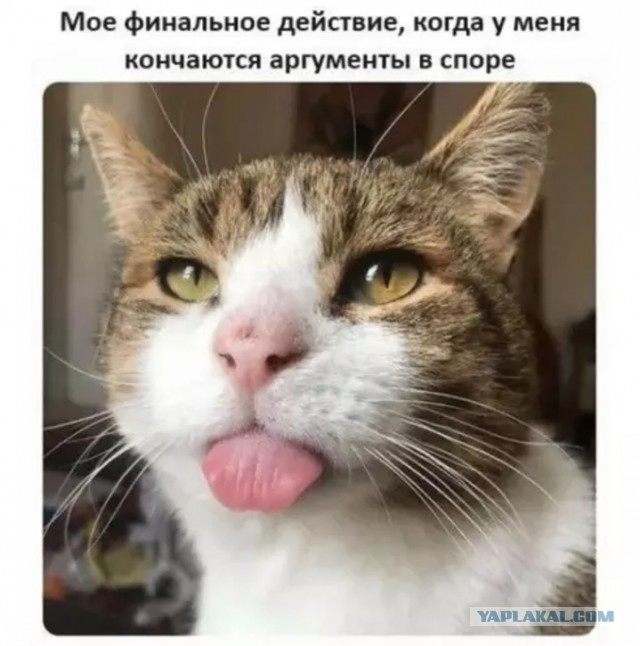 РСП нашла нового мужика