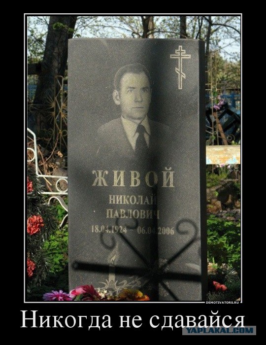 Демотиваторы.