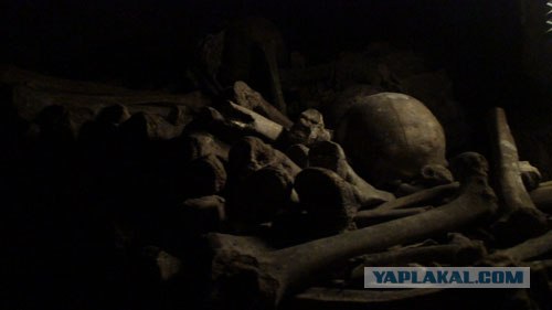 Парижские катакомбы