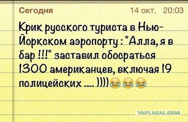 Подборка прикольных фото на начало мая