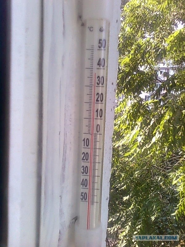 Вид из вашего окна