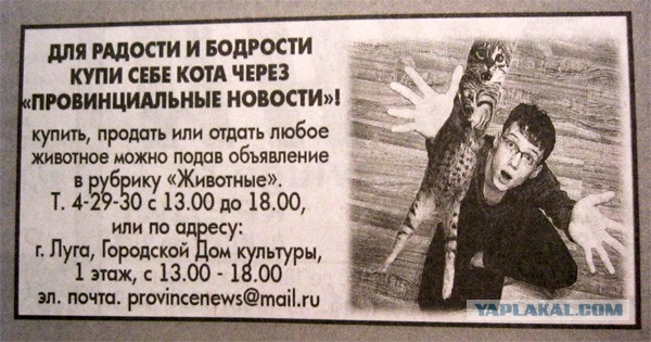 Немного позитива на пятницу
