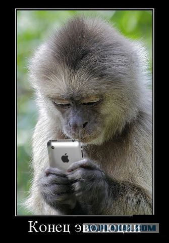 О бабах и айфонах.