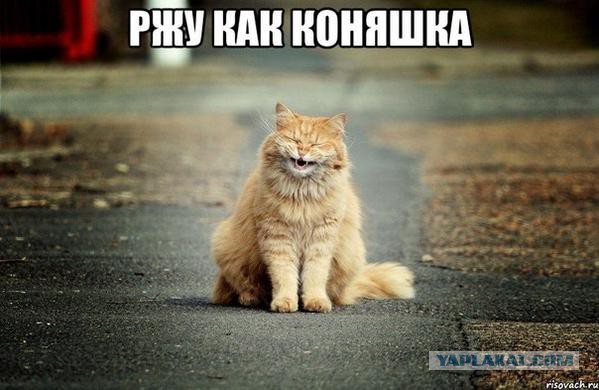 Смешные картинки