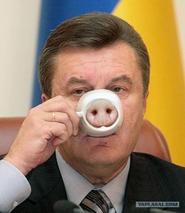 Забавные картинки из Сети