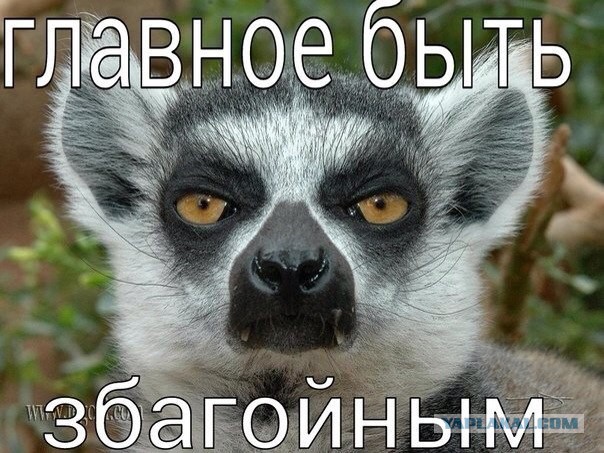 Когда реклама по-настоящему бесит!