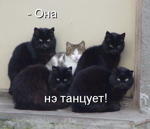 Взаимоотношения полов...