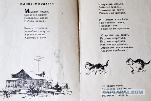 Руководство для  дачников кошатников
