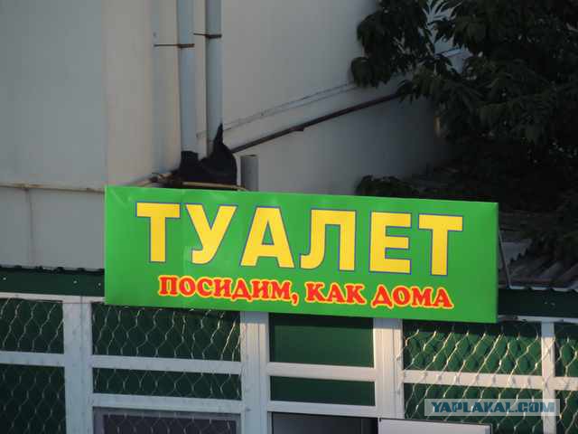 Картинки, фото и др..