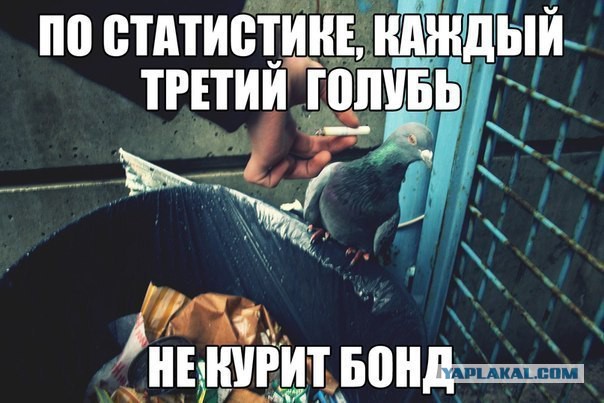 Картинки набрались разные