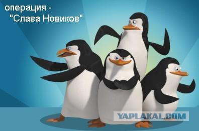 У меня грустные новости для соЯПовца. Слава Новиков тут есть?