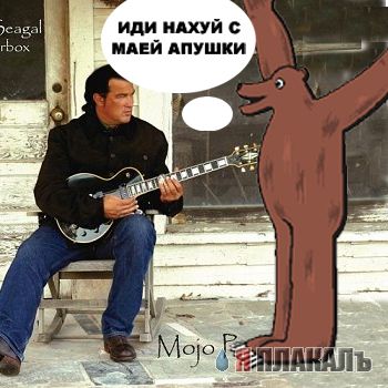 Фотожаба: Стивен Сигал