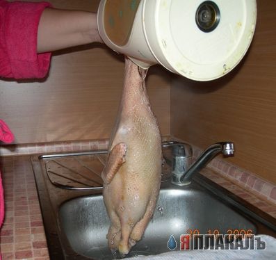 Кулинарный архив