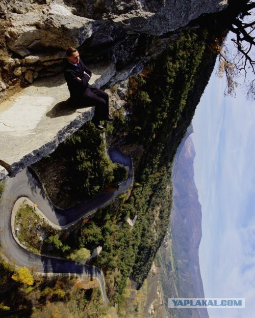 Интересные и веселые картинки