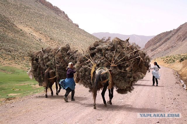 Своя ноша не тянет