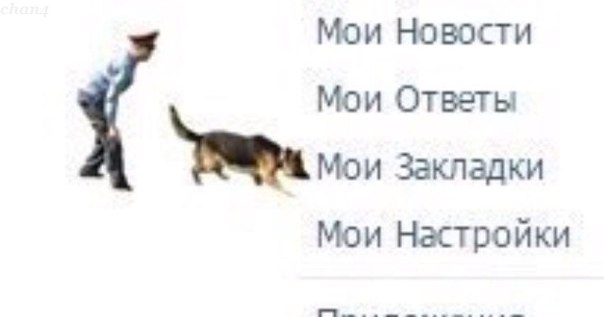 Забавности из интернетов