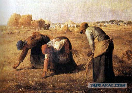 Когда мозги встают на место