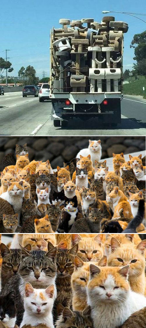 Приколюшки