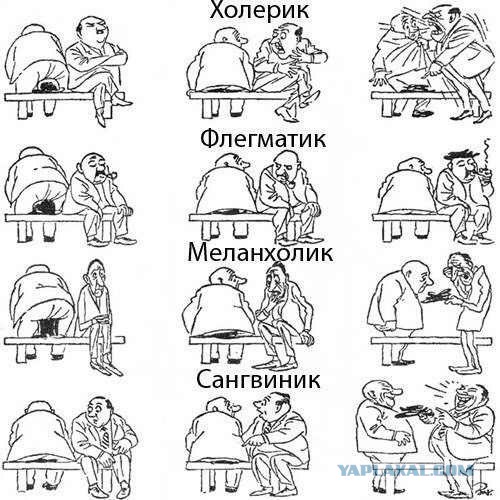 Флегматик