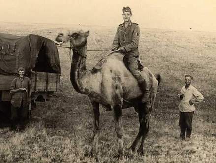 Фотографии к "Нахальному минированию" и "Лехе"