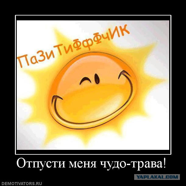 Перлы