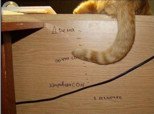 Всяко-разно из сети