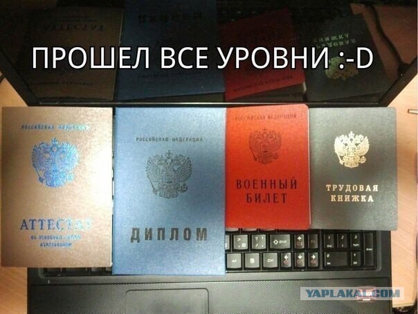 Прикольные картинки 27.06.2017.