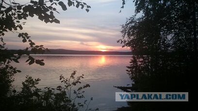 Беседка ФиС ЯПа