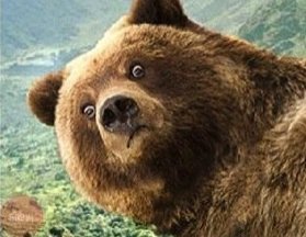 Жена не хочет развода