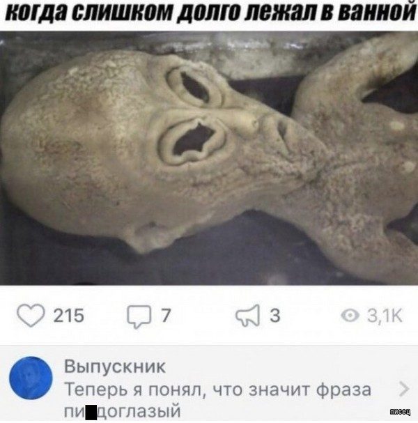 Веселые картинки когда...