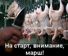 Нож "дурак" для разделки замороженной курицы