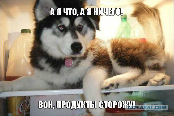 Разные по свежести картинки. Опять