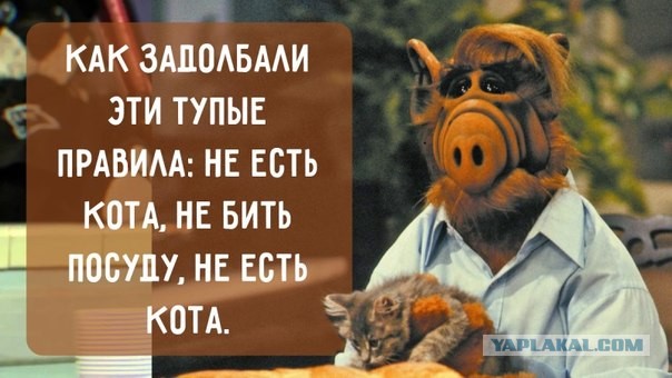 Забытые сериалы, которые мы с интересом смотрели в 90-х.
