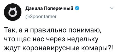 Бредзона 31.05.20