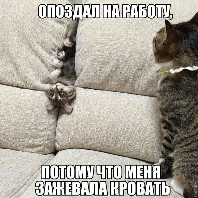 Чуток картинок 20.07.20