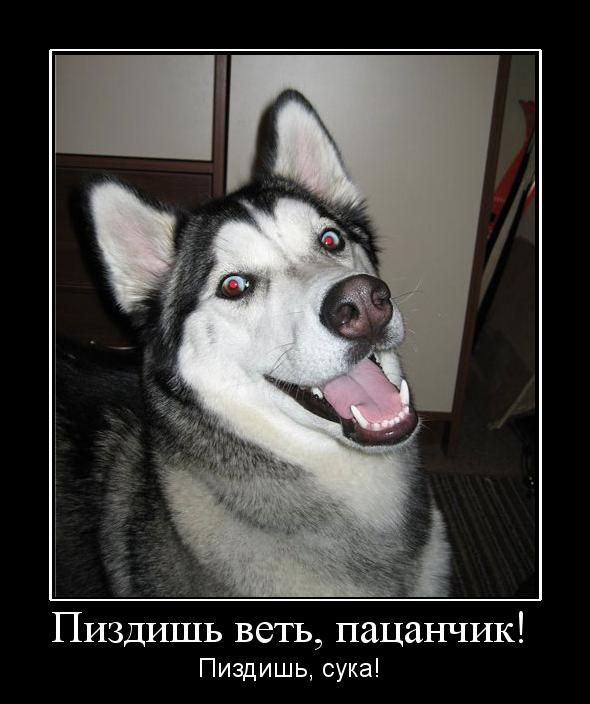 Беларусь. Взгляд женщины изнутри