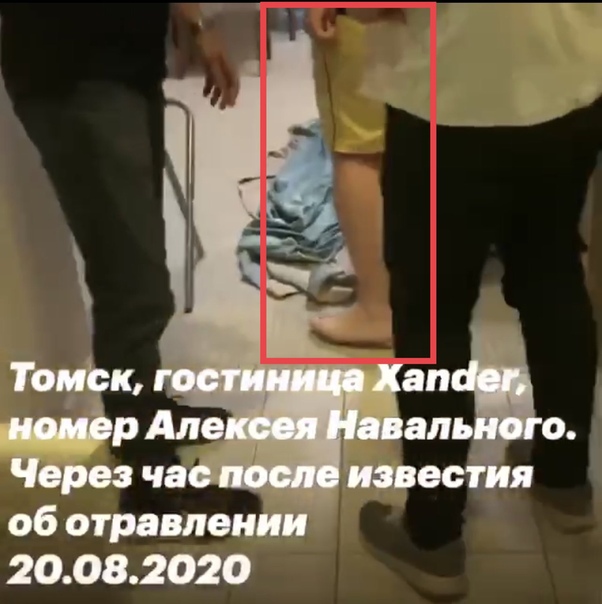 Ядовитый источник. Расследование о том, где был отравлен Алексей Навальный