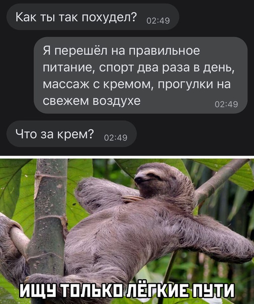 Немного картинок для настроения 14.11.20