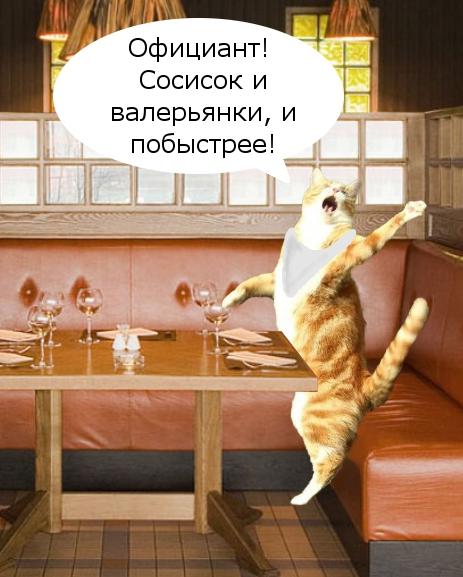 Кот поёт