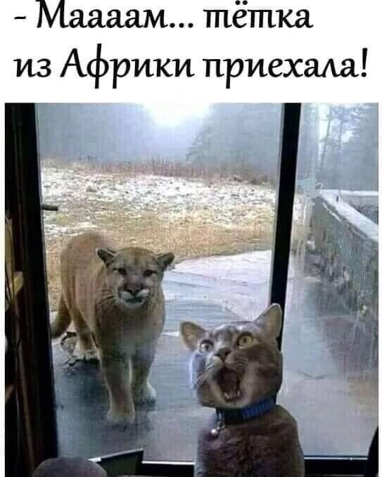 Картинки из недр интернета