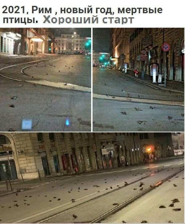 Двойные стандарты