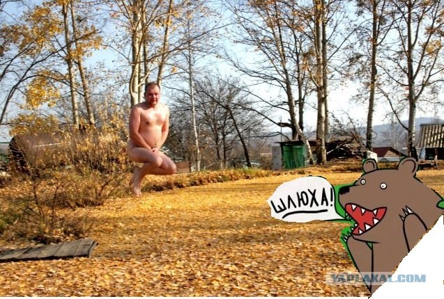 Осень наступила, падают листы