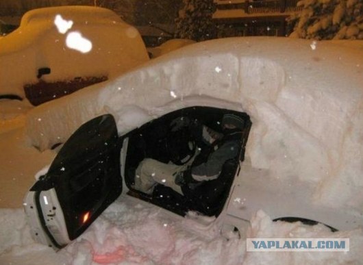И все-таки мы живем в удивительной стране
