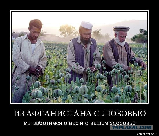 Смерть талиба (21+)