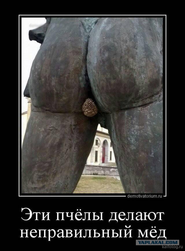 Приколы и чернушка!
