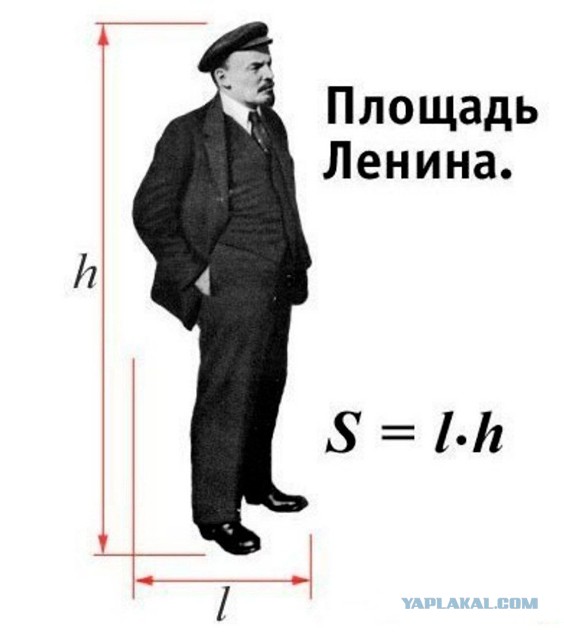 Прямая линия до Кащенко