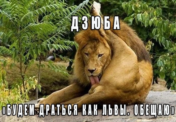 Капитанище о тренере сборной Италии.