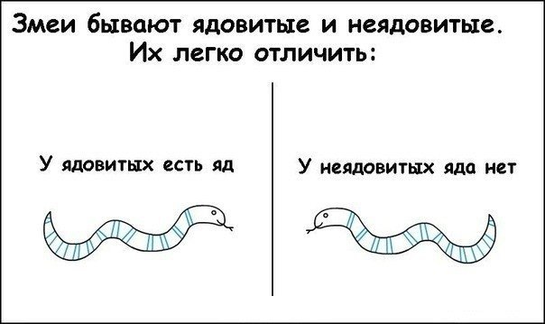 В Астраханской области мужчина умер после фокуса с заглатыванием змеи